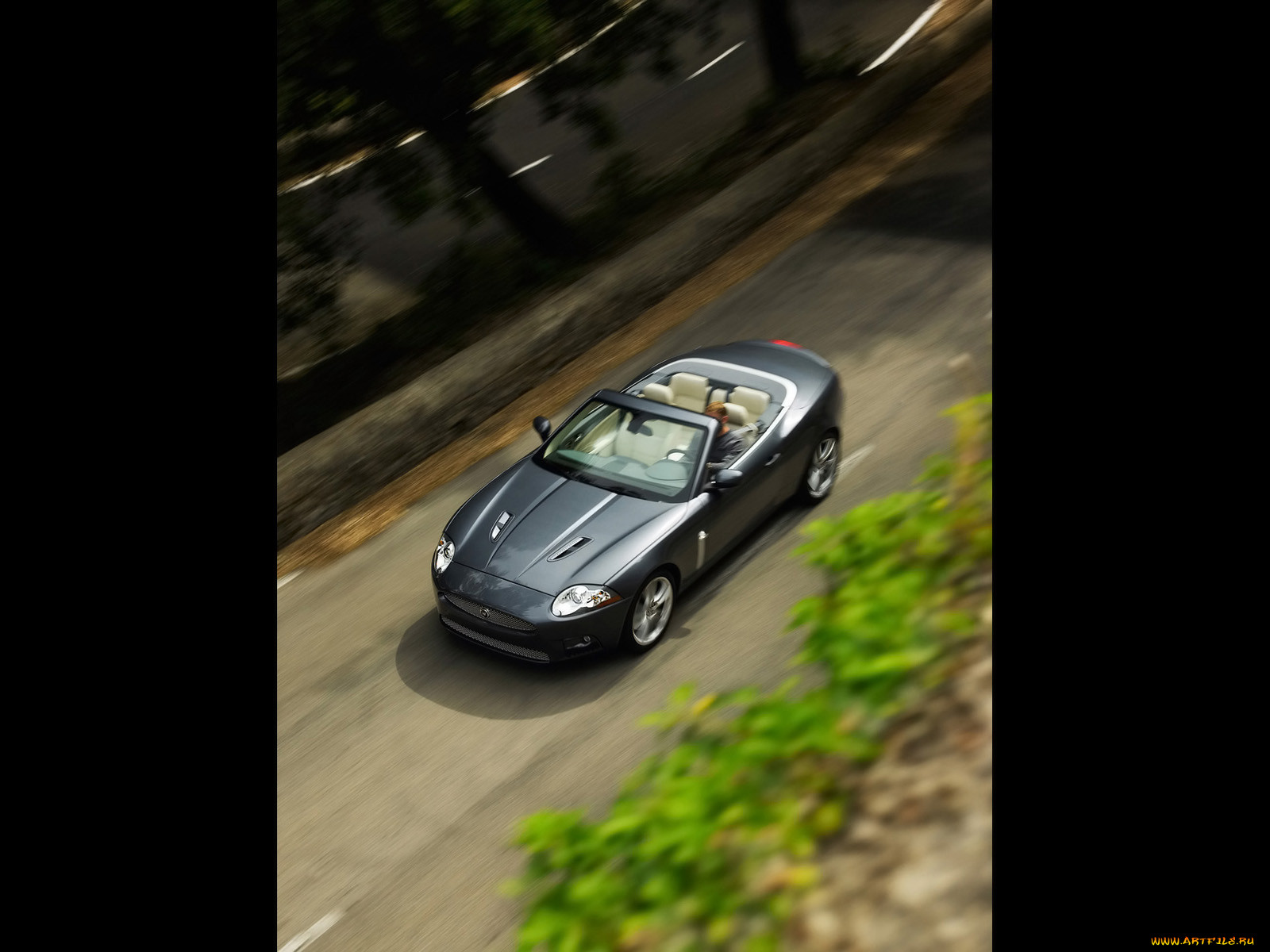 , jaguar